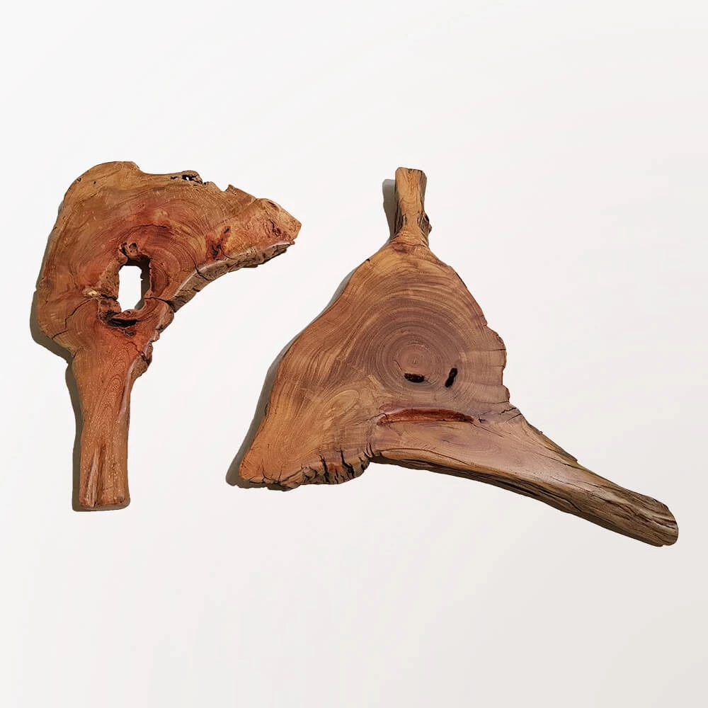 Fan Sculptures - pair (2 units)